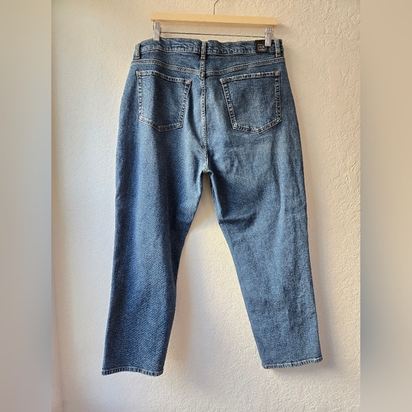 Current Elliott Boyfriend Jeans Size 32 - Picture 3 of 10